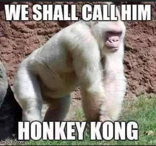 FB_IMG_1629694515968