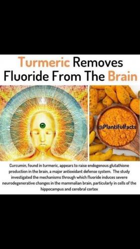 FB_IMG_1630284540241