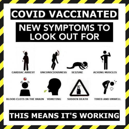 vaccine296