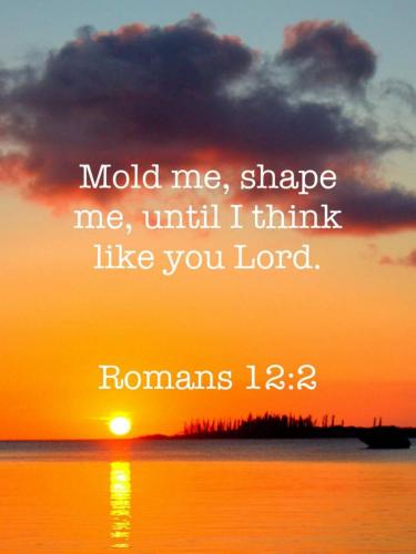 11:29:36 GMT-0400 (EDT)