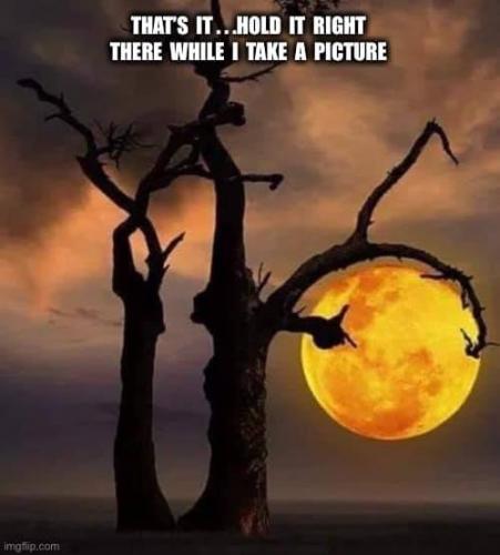 235840751_4572025179475005_3209796461812438780_n