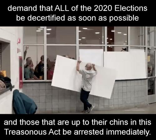 voterfraud218