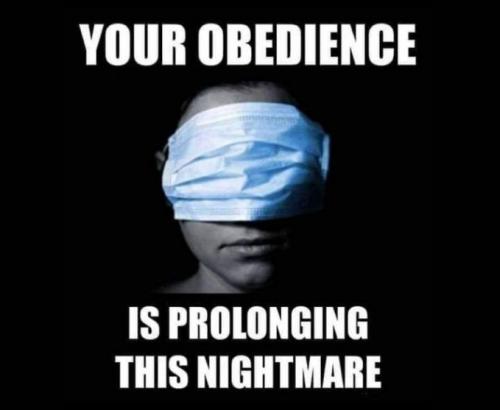 scamdemic18