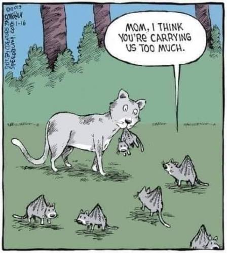 FB_IMG_1628921882758