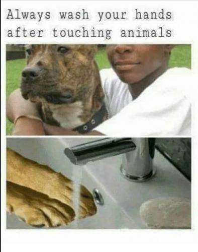 IMG_20210731_122835_653