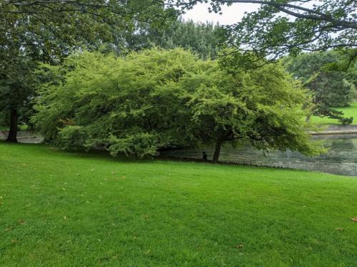 PXL_20210830_125040371.MP