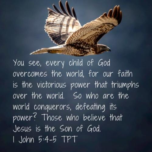 22:29:42 GMT-0400 (EDT).image