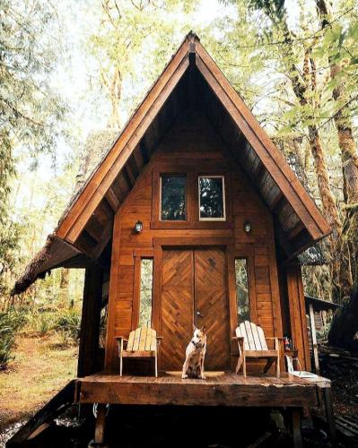 238949949_10159454584018050_3350627283977380275_n