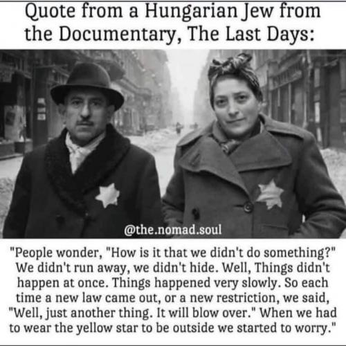 239441775_2004532206370122_5833211110649143468_n