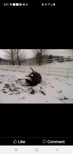 17:51:14 GMT-0700 (PDT)