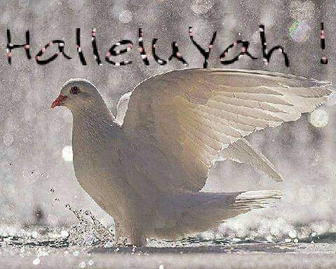 FB_IMG_1611127333328