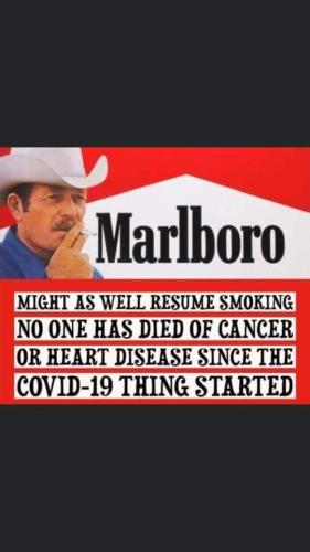 117445529_1710723922411339_7753178676423542167_n