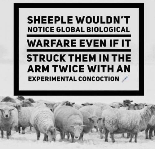 FB_IMG_1627899103754