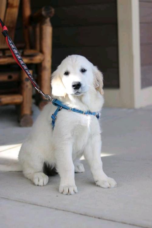 17:21:04 GMT+0100 (WAT)