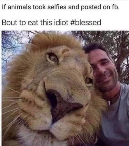 17:52:31 GMT-0700 (PDT)