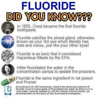 FB_IMG_1611012431649