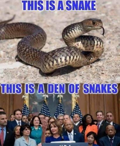 FB_IMG_1628882836325