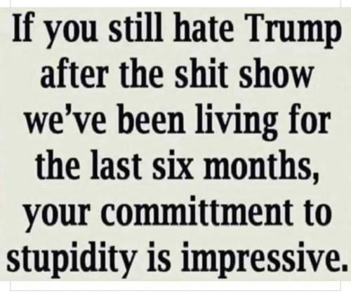 hate Trump after the last 6 months