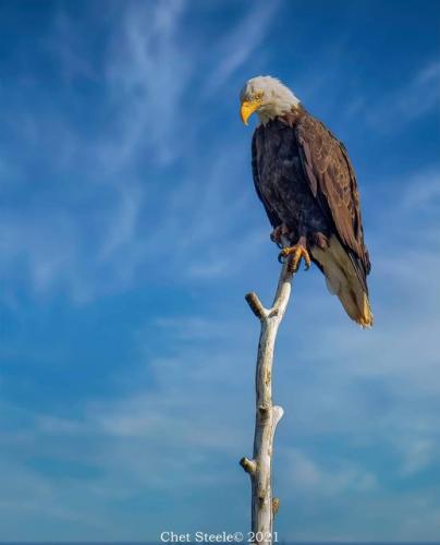 233610017_1211461845933824_4187646811599235361_n