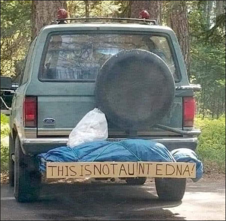 aunt edna00