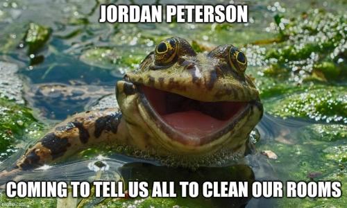 jordan peterson kermit3