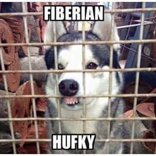 FB_IMG_1629419649860