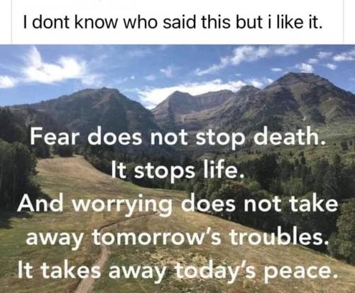 239502949_2998531587069363_3677255040288543149_n