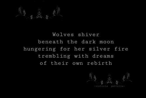 94259244_10213124433385637_7595172105562357760_n