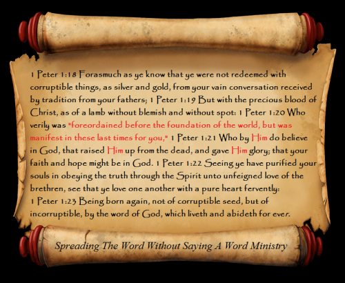 20954026_1508563309225795_1704028600096227667_n