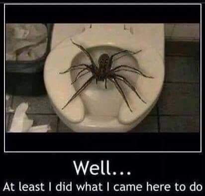 FB_IMG_1628638087678