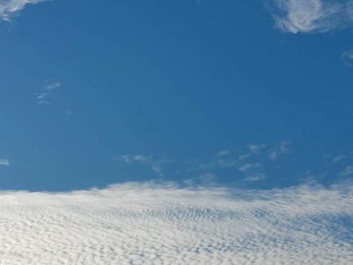 received_1010935396412545