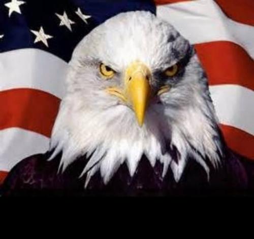 11393246_10204538263045407_6966701692473320153_n