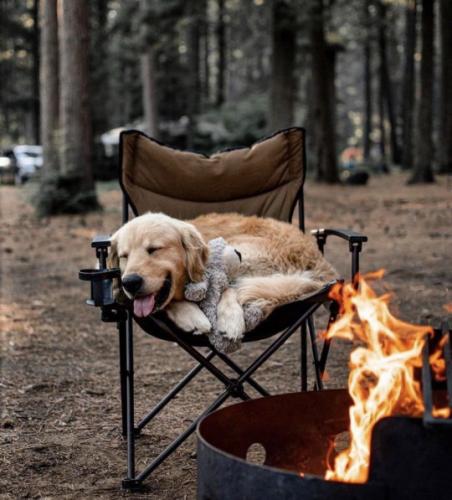 tumblr_e8f439b01aea4a47675c9673fbec4834_3f3f8472_540