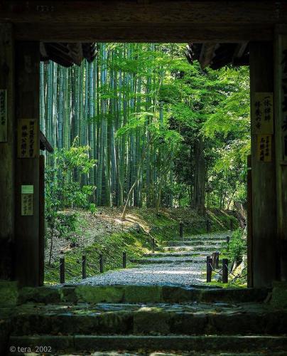 240408948_907059026616332_5802661303810938187_n