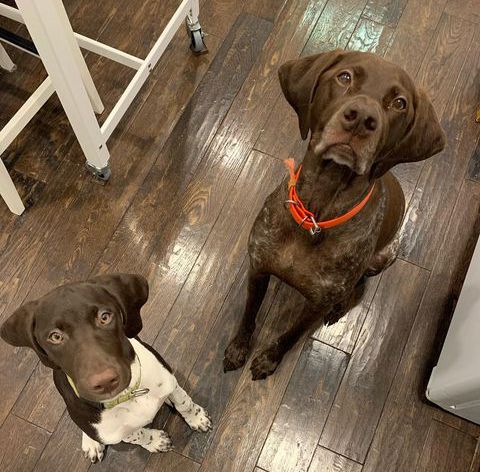 23:12:34 GMT+0100 (WAT)