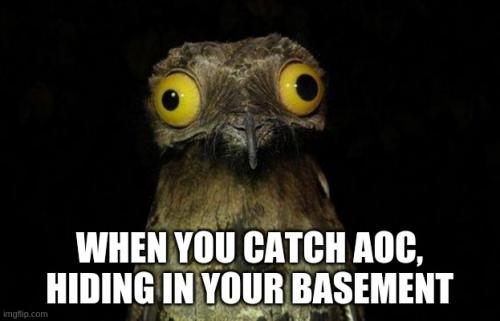 aoc basement