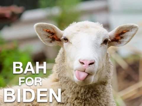 FB_IMG_1628291168443