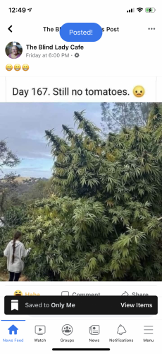 01:28:22 GMT-0700 (PDT).image