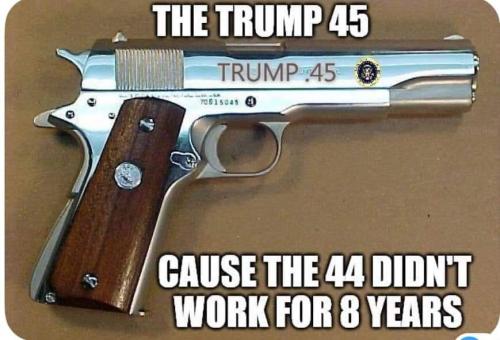 trump 45 gun