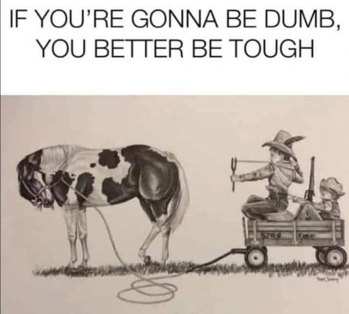 FB_IMG_1627823525660