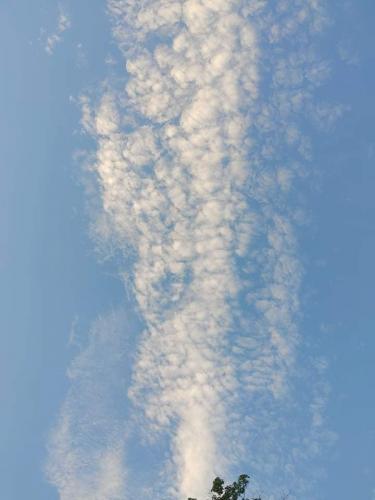 received_276676650538806