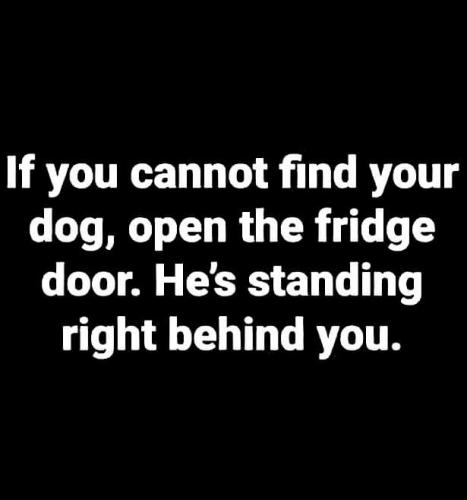 17:17:41 GMT-0400 (EDT)