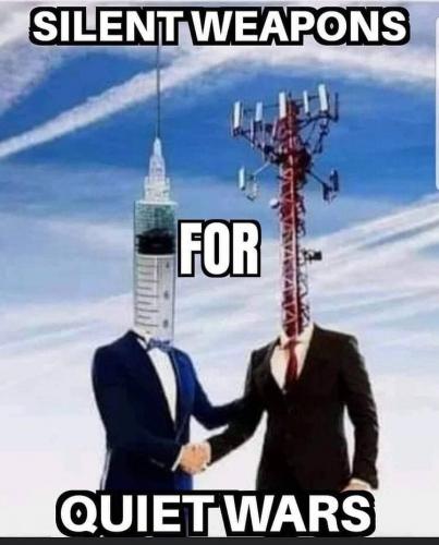 photo_2021-08-14_15-44-42