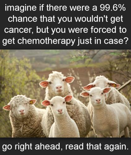 vaccine308
