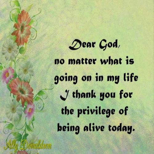 218369798_4587026984670078_2832887499794159715_n