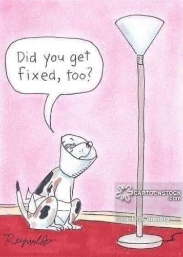 FB_IMG_1629323818519