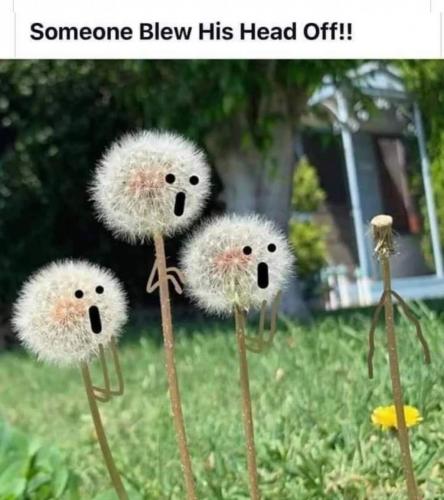 FB_IMG_1628886071950