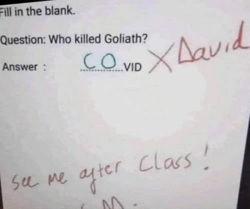 236134082_10215013290884919_6846852546759968233_n