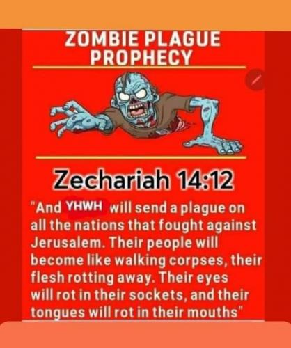 FB_IMG_1627823762274