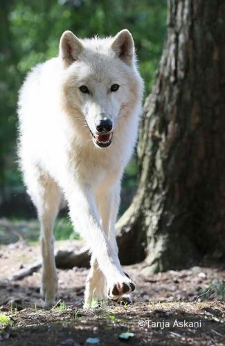 9464d25c0662ac97d5d8aa146b8844c7